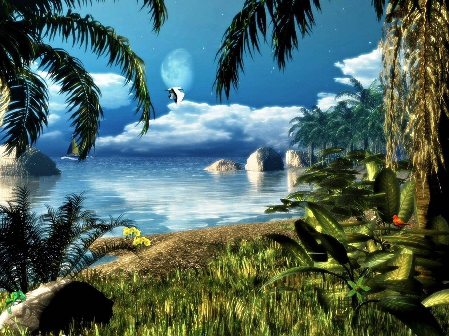 deserted island, tropical beach, palm trees, HD Desktop Wallpaper