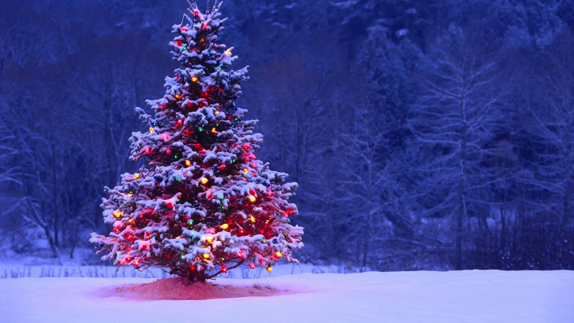 3d christmas, snow-covered Christmas tree, colorful lights, Full HD Desktop Wallpaper