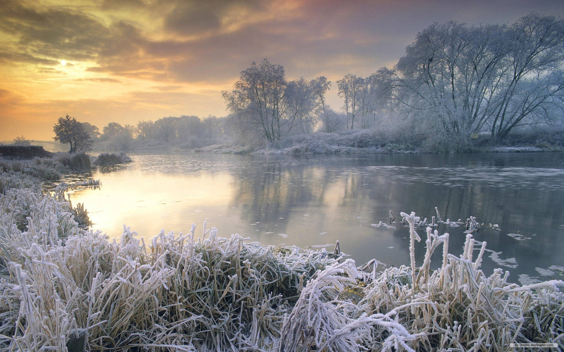3d desktop, lake, white trees, Full HD Desktop Wallpaper