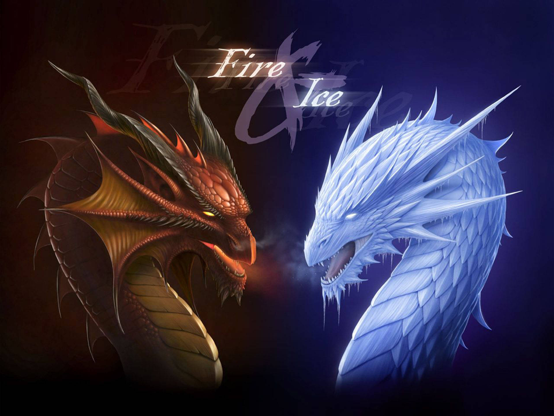 fire and ice dragon, fiery red dragon, icy blue dragon, Full HD Desktop Wallpaper