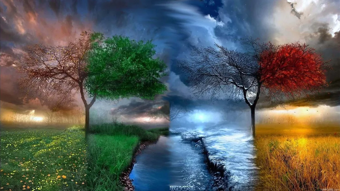 3D Fantasy