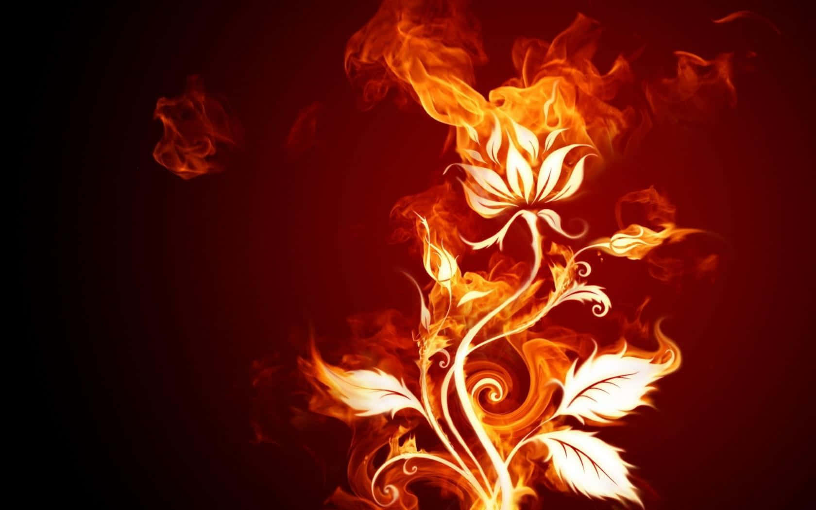 3d fire, white floral design, swirling flames, HD Desktop Wallpaper