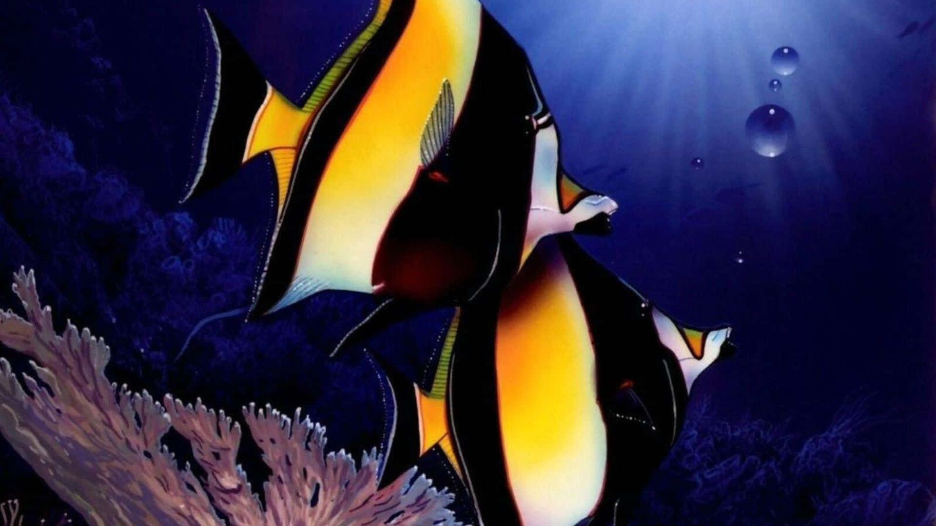3d fish, orange and black angelfish, purple coral, Full HD Desktop Wallpaper