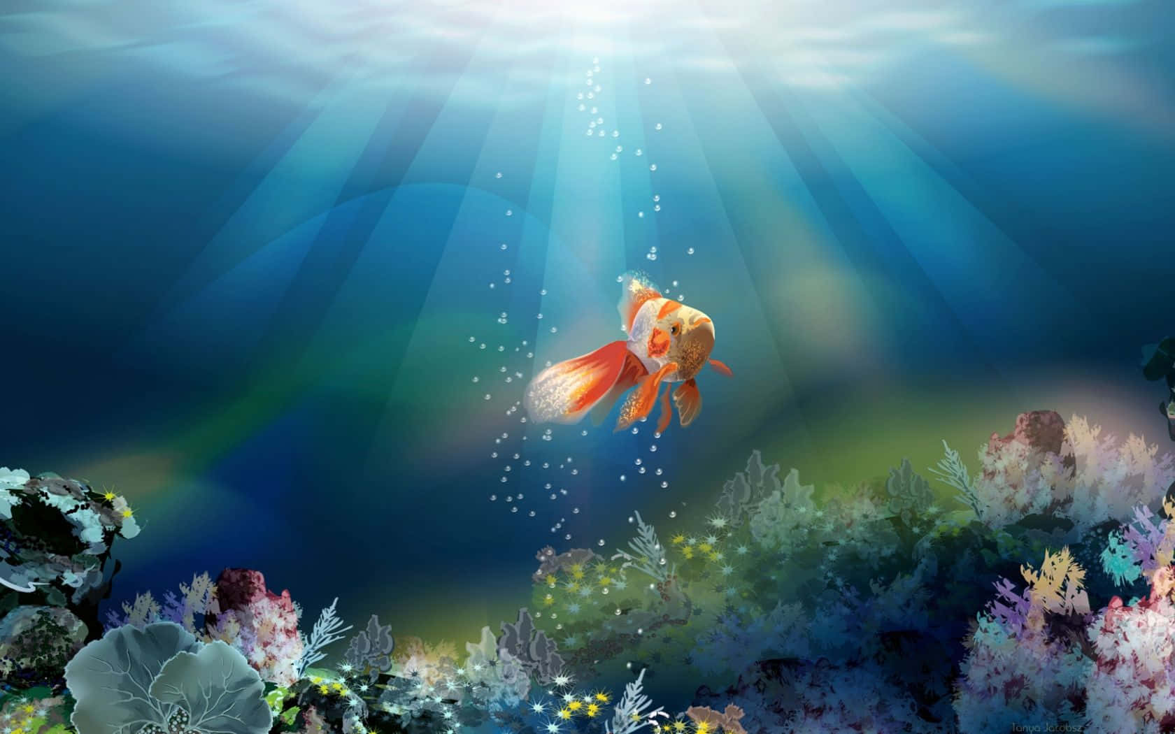 3d fish, goldfish, sunbeams, HD Desktop Wallpaper