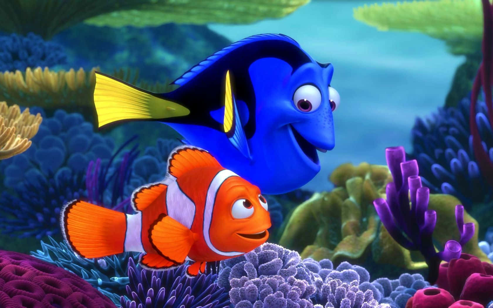 3d fish, vibrant blue tang, orange clownfish, HD Desktop Wallpaper