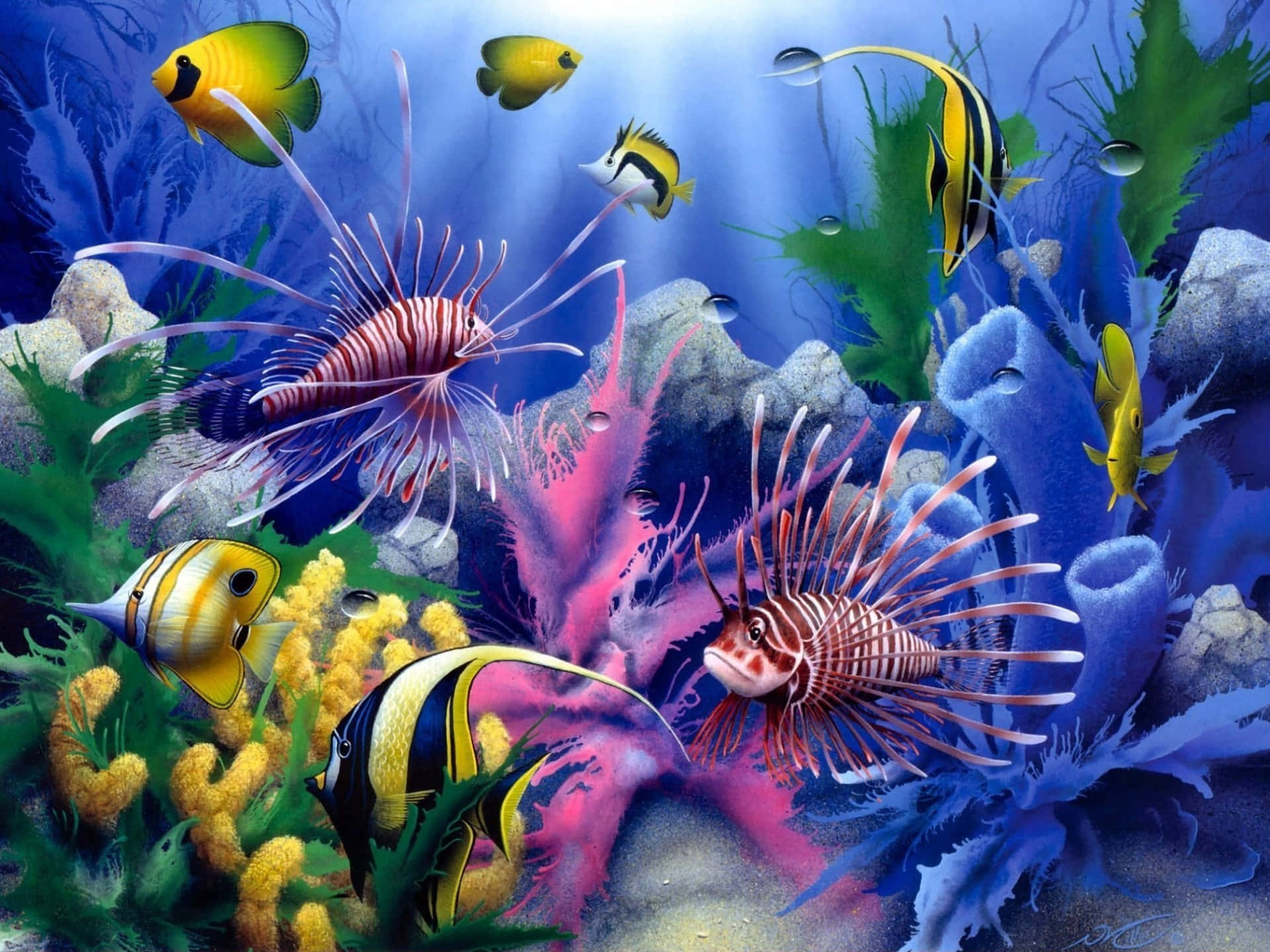 3d fish, tropical fish, colorful coral, Full HD Desktop Wallpaper