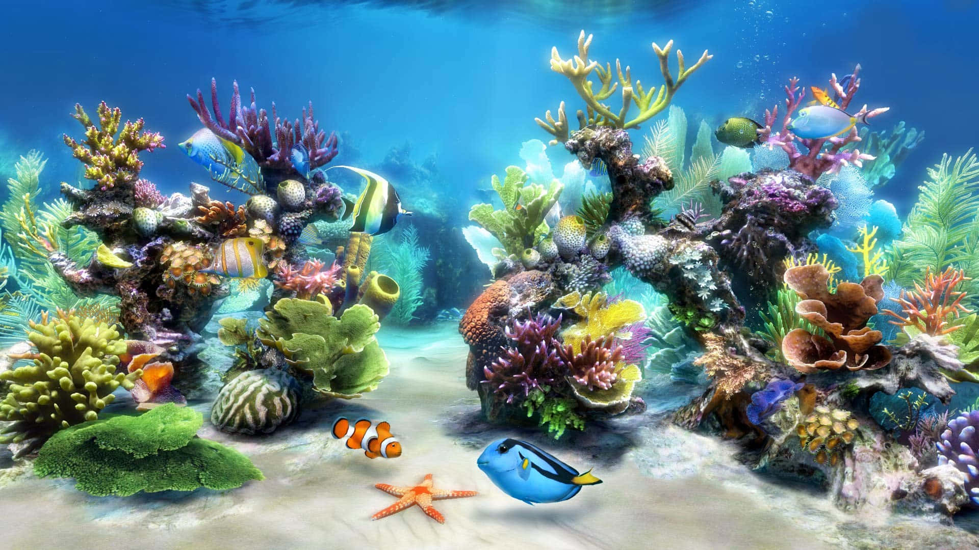 3d fish, coral reef, colorful fish, Full HD Desktop Wallpaper