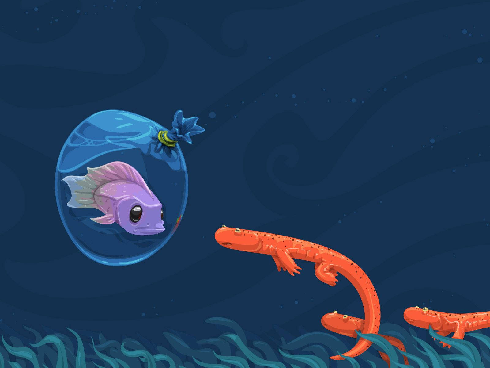 purple fish, bubble, orange axolotls, HD Desktop Wallpaper