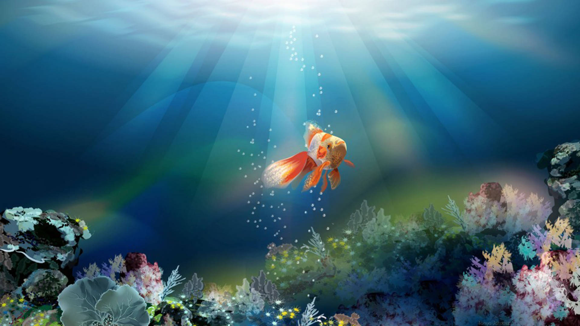 goldfish, underwater, sunbeams, Full HD Desktop Wallpaper