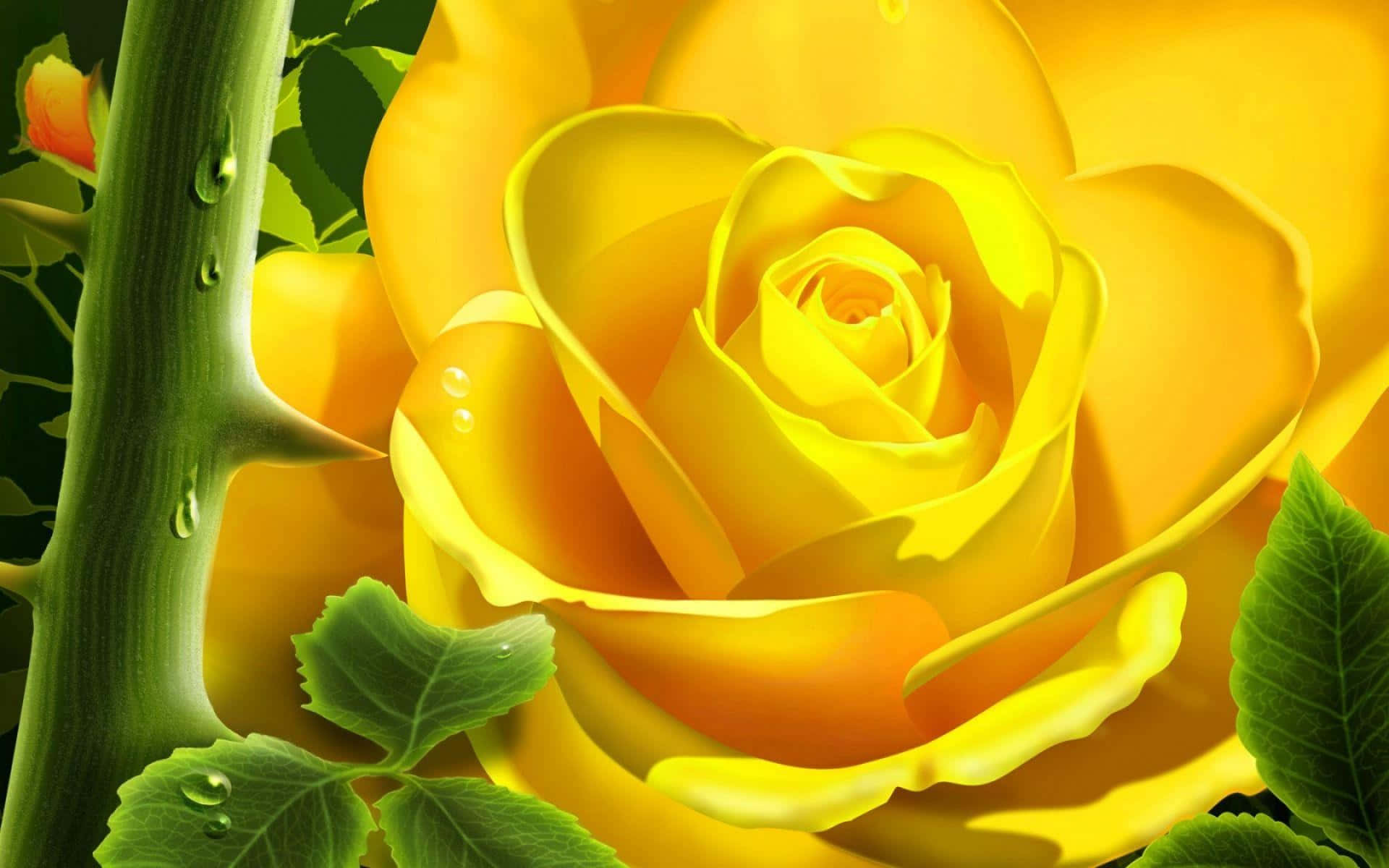 3d flower, vibrant yellow rose, dew drops, Full HD Desktop Wallpaper