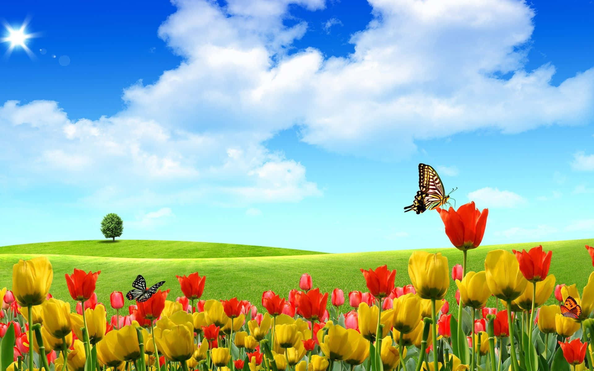 3d flower, red tulips, yellow tulips, Full HD Desktop Wallpaper