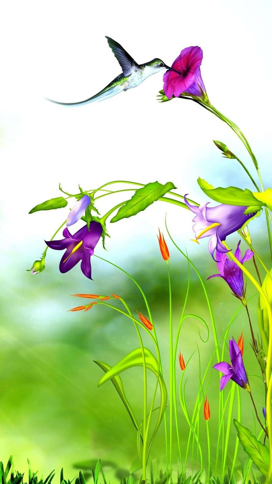 3d flower, hummingbird, purple flower, Full HD Phone Wallpaper