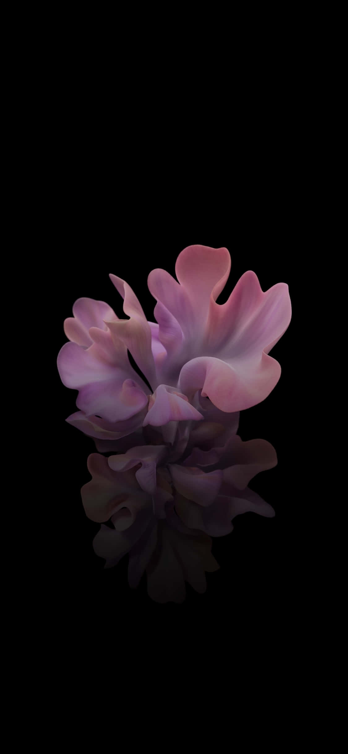 3D Black And Pink Flower, pink abstract flower, soft ruffled petals, Full HD Phone Wallpaper