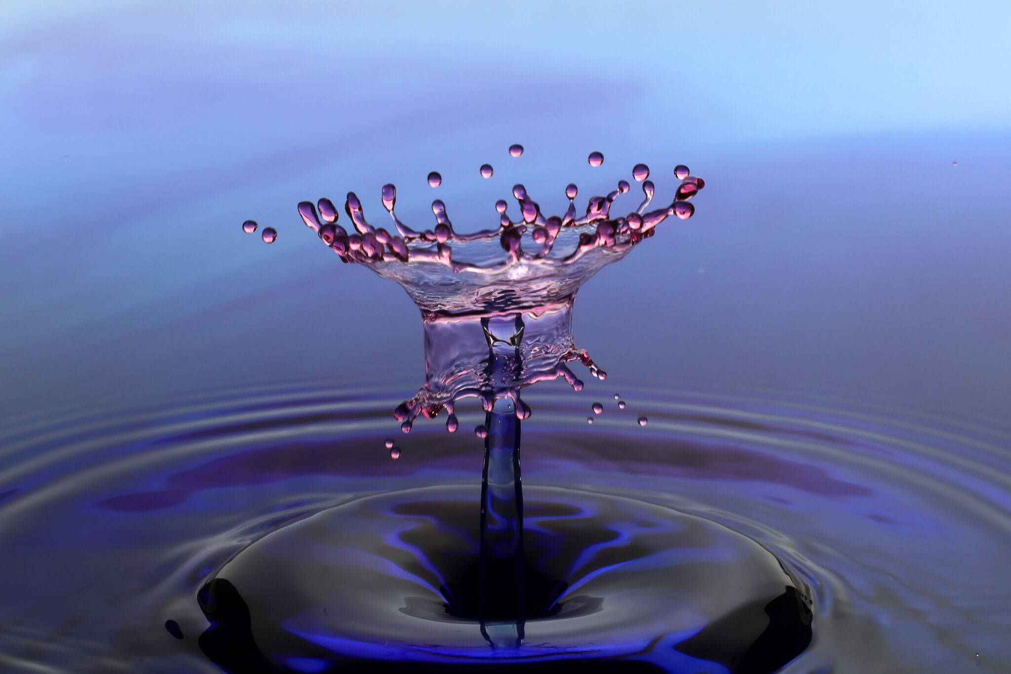3d water flower splash, purple-blue surface, water droplet splash crown, Full HD Desktop Wallpaper