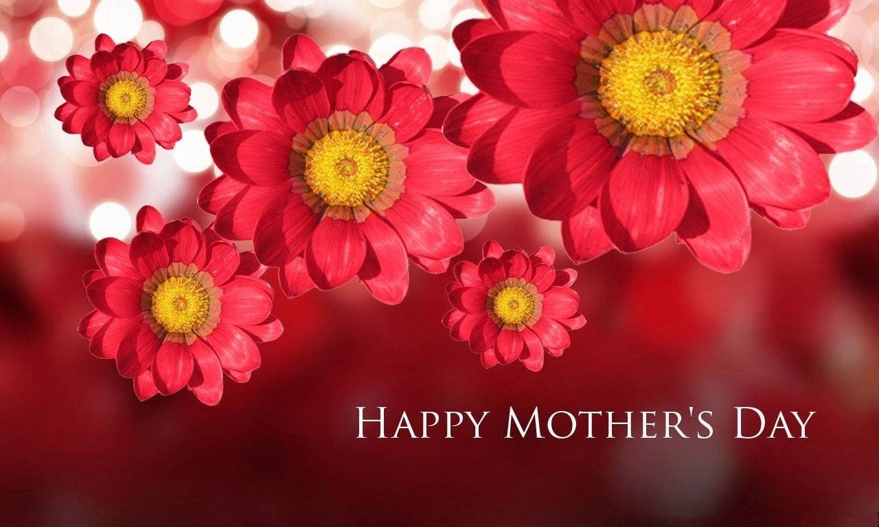 3d flowers, Mother's Day, vibrant red daisies, HD Desktop Wallpaper