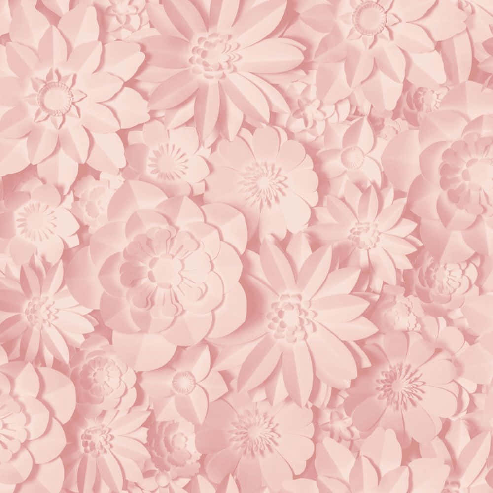 3d flower, soft pink, 3d paper-cut flowers, SD Desktop Wallpaper