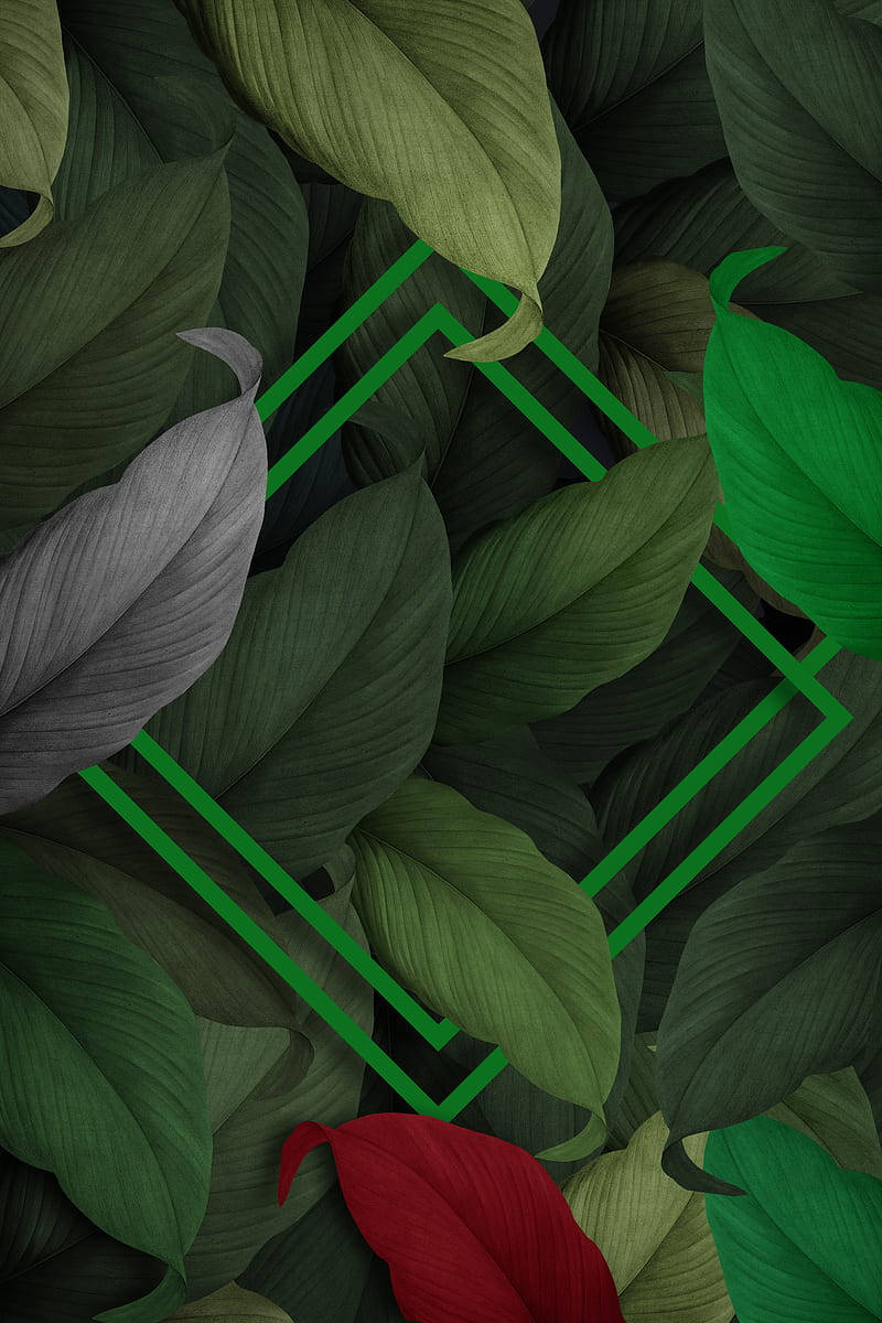 3d hijau leaves, neon green lines, red leaf, SD Phone Wallpaper