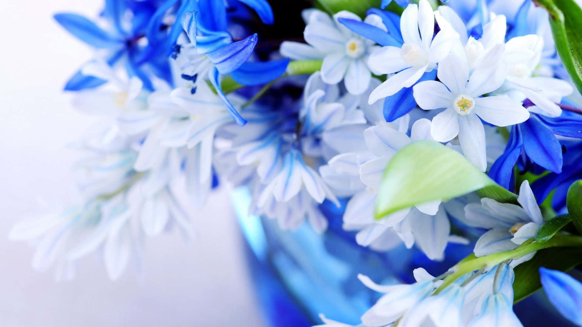 3d flower, hyacinth flowers, blue and white, Full HD Desktop Wallpaper
