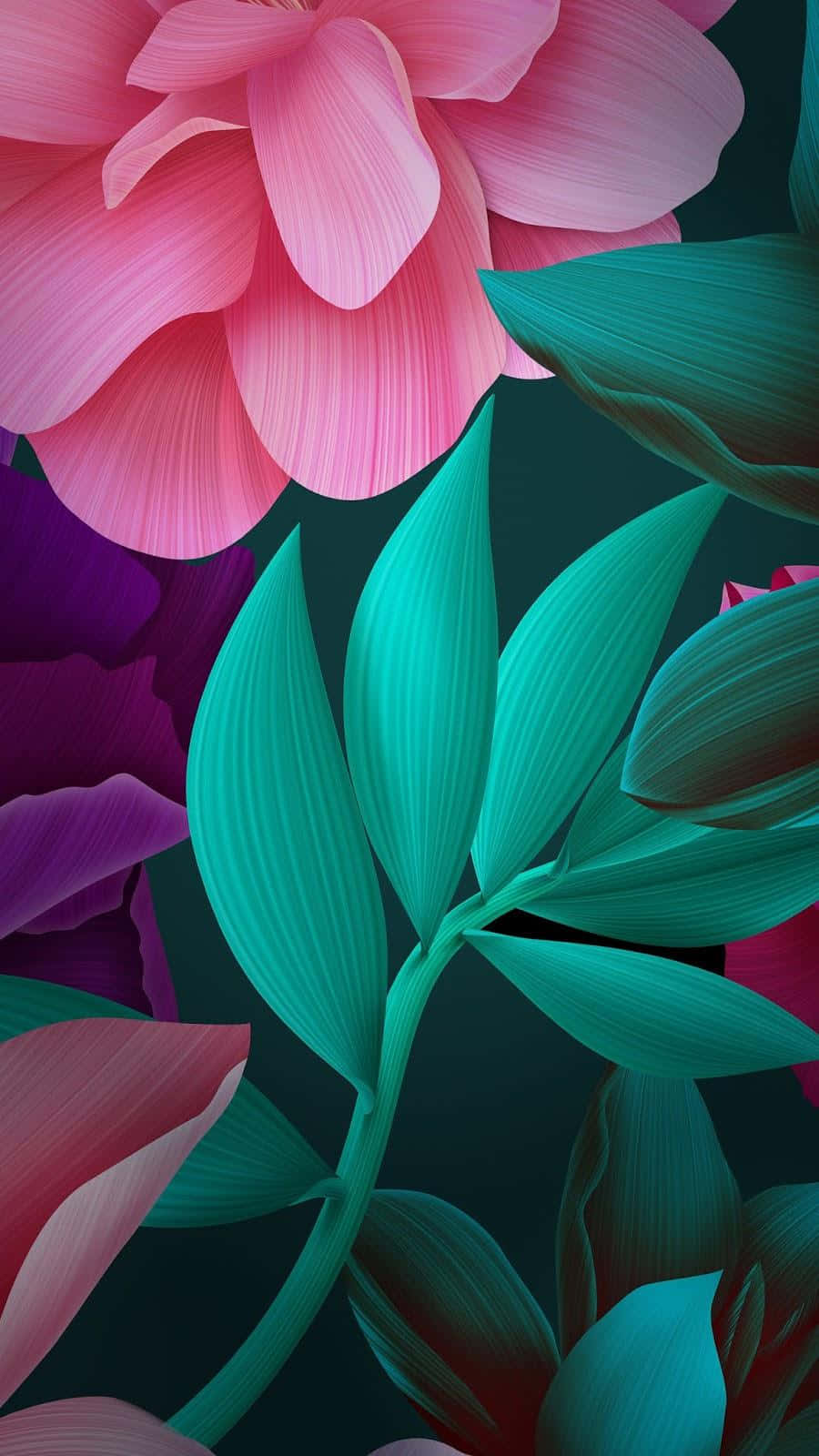 vibrant pink petals, teal leaves with visible veins, dark background, HD Phone Wallpaper