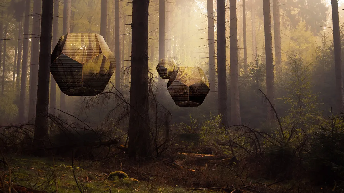 3D Forest