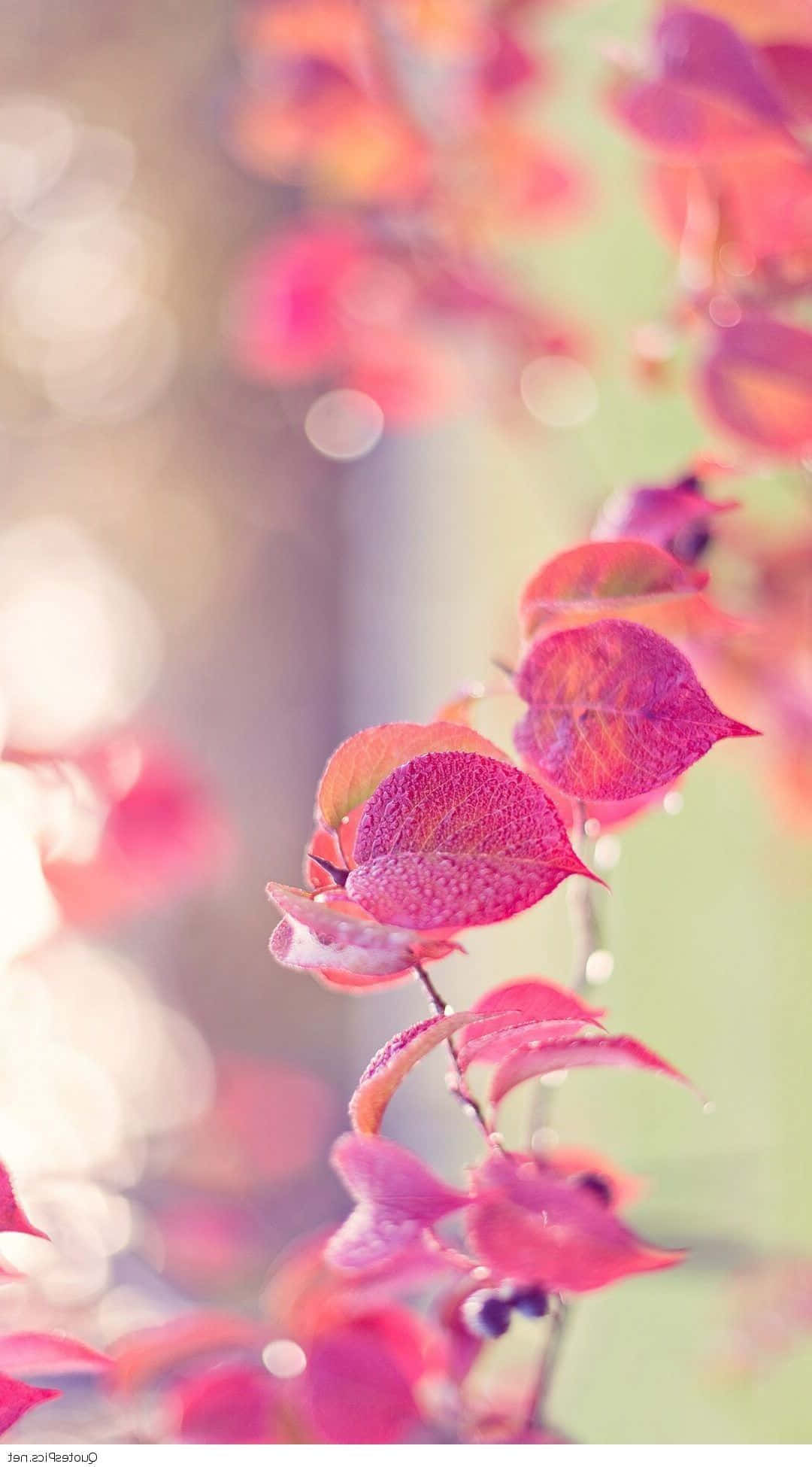 3d girly, vibrant pink, red autumn leaves, Full HD Phone Wallpaper