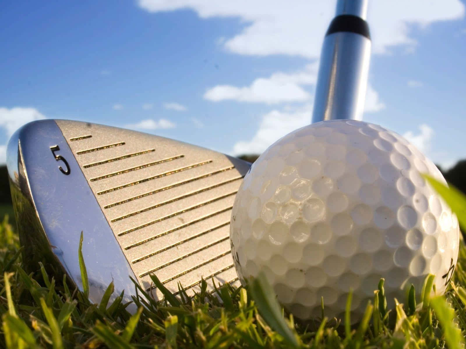 3d Golf Desktop, golf club, golf ball, HD Desktop Wallpaper