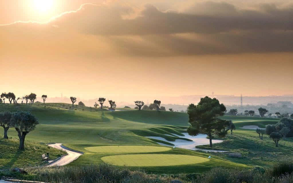 golf course, trees, sunset, SD Desktop Wallpaper