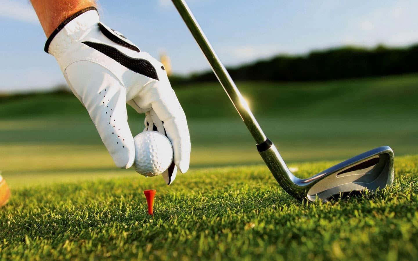 golfer's gloved hand, white golf ball, red tee, HD Desktop Wallpaper