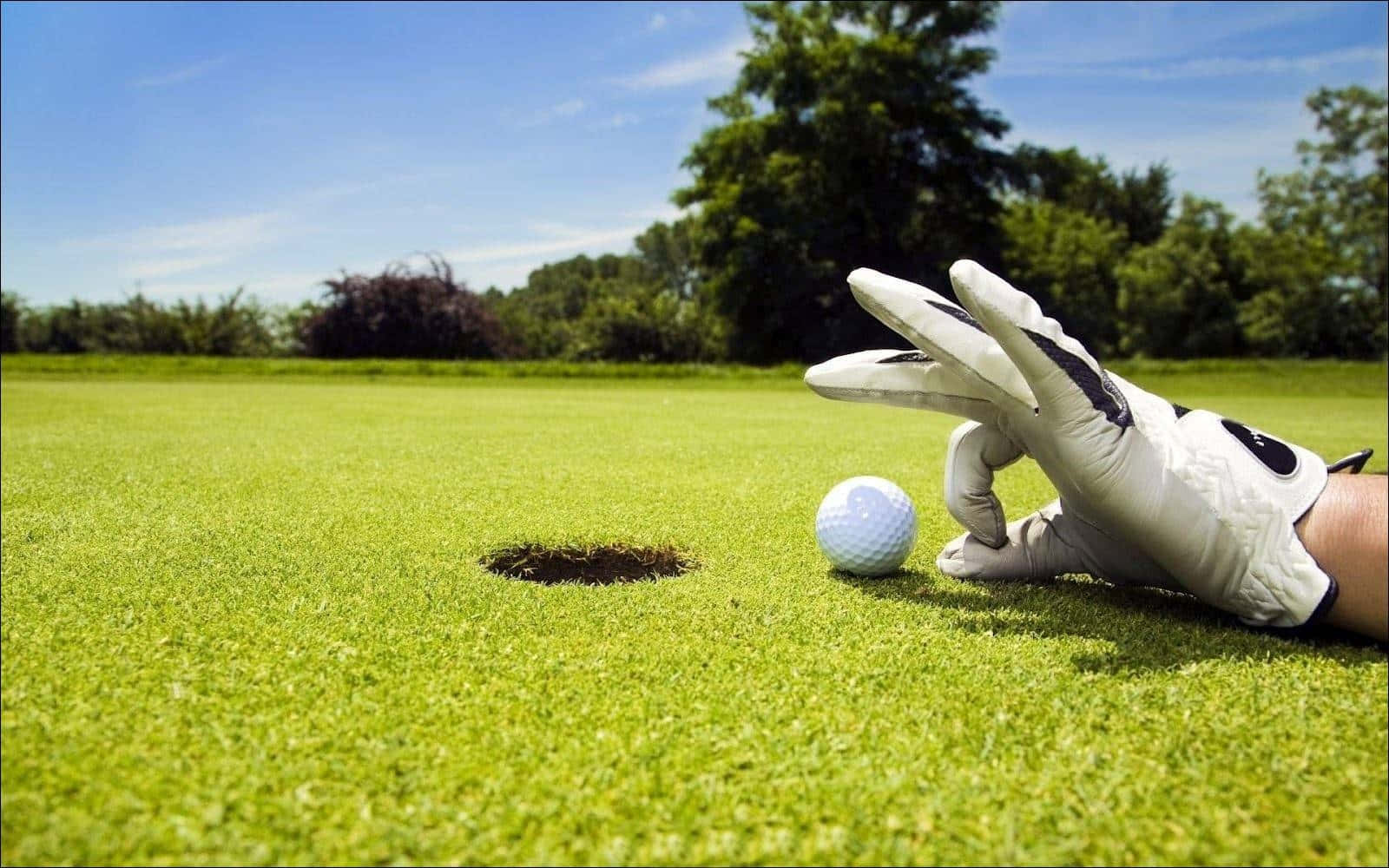 golfer's hand, golf ball, hole, HD Desktop Wallpaper