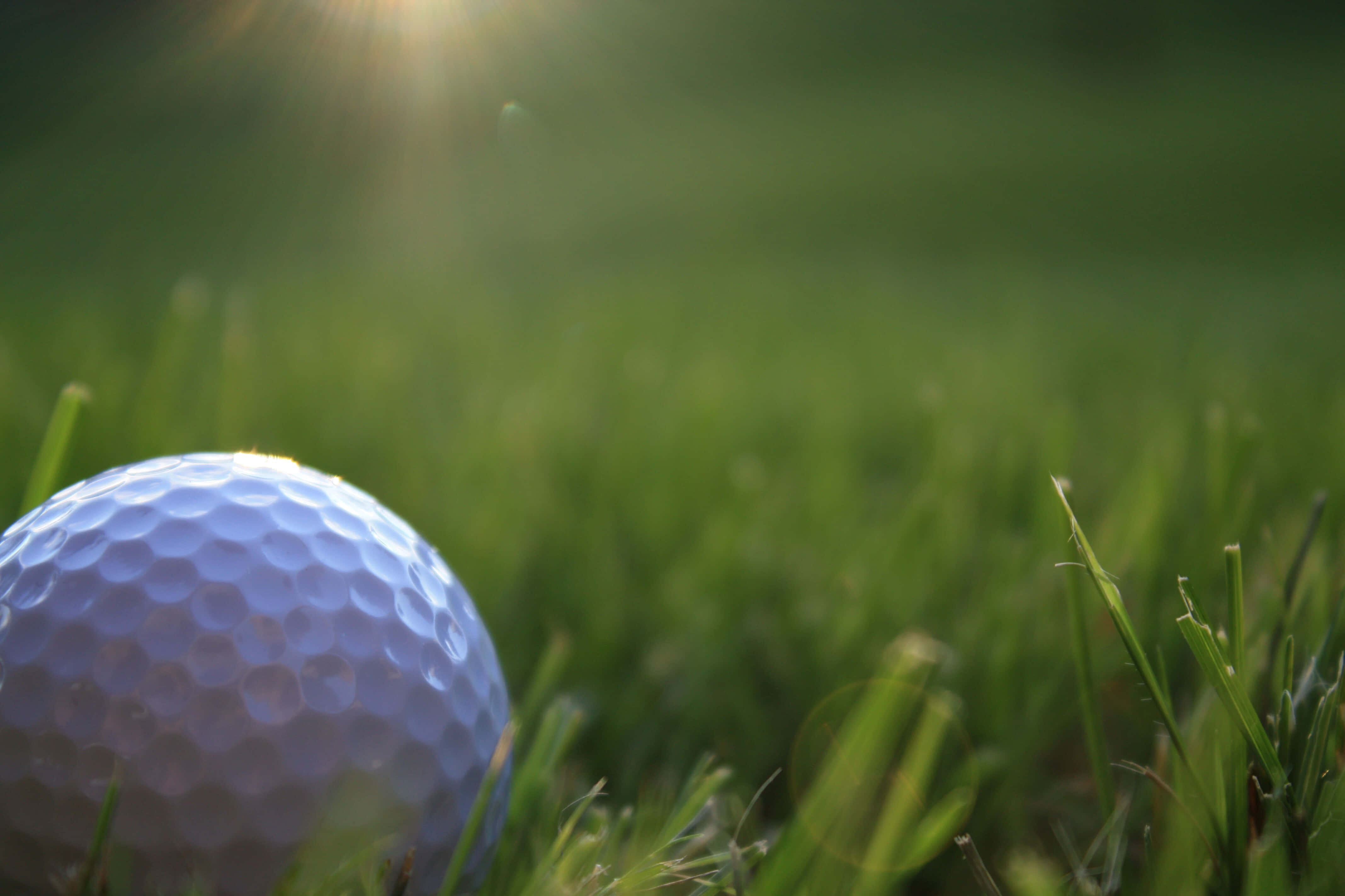 3d golf desktop, white golf ball, vibrant green grass, 4K Desktop Wallpaper