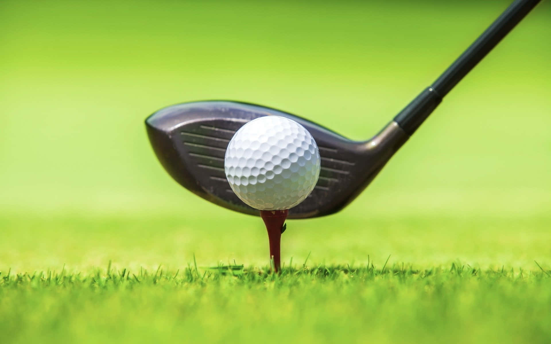 3d Golf Desktop, golf club, white golf ball, Full HD Desktop Wallpaper