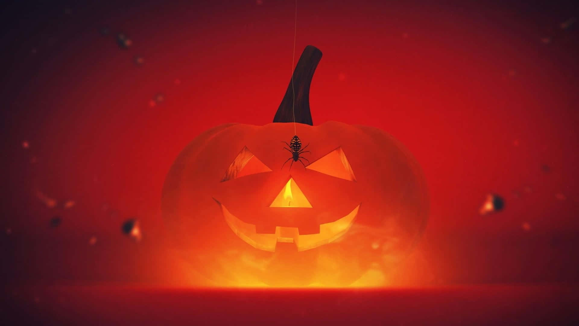 3d halloween, jack-o'-lantern, spider, Full HD Desktop Wallpaper