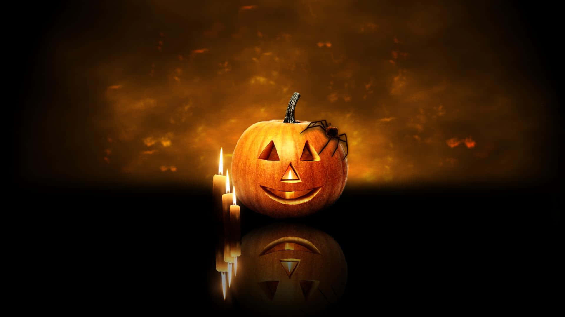 3d Halloween, jack-o'-lantern, spider, Full HD Desktop Wallpaper