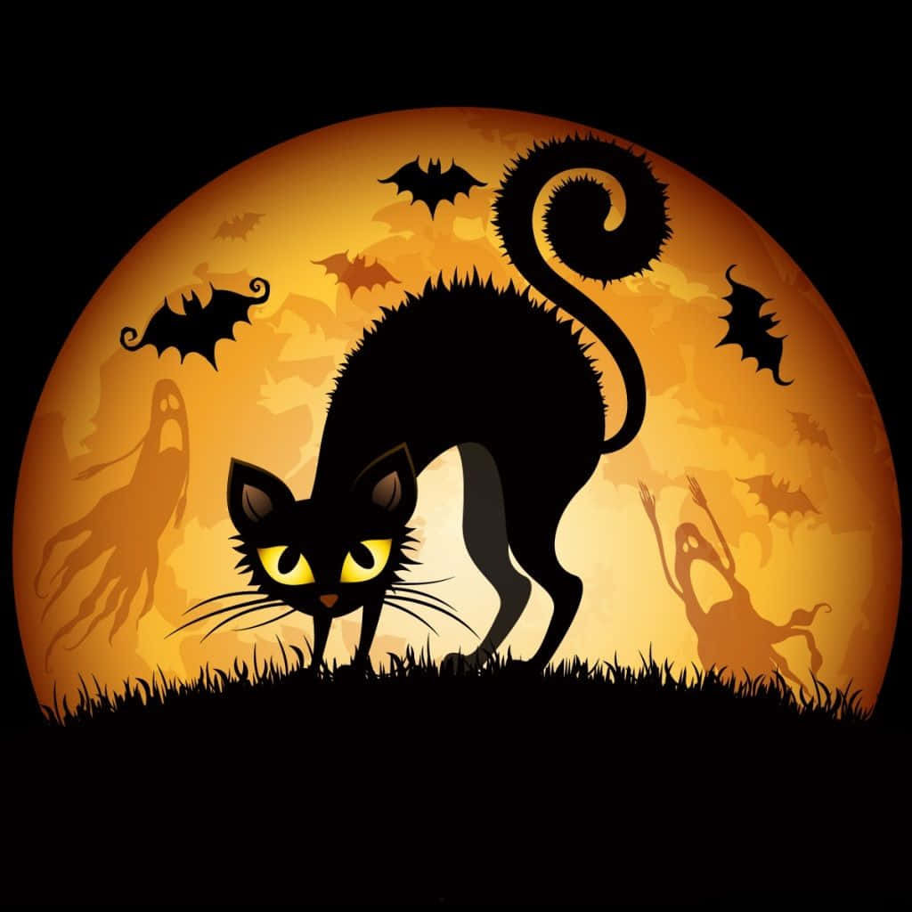 3d halloween, black cat, glowing yellow eyes, SD Desktop Wallpaper