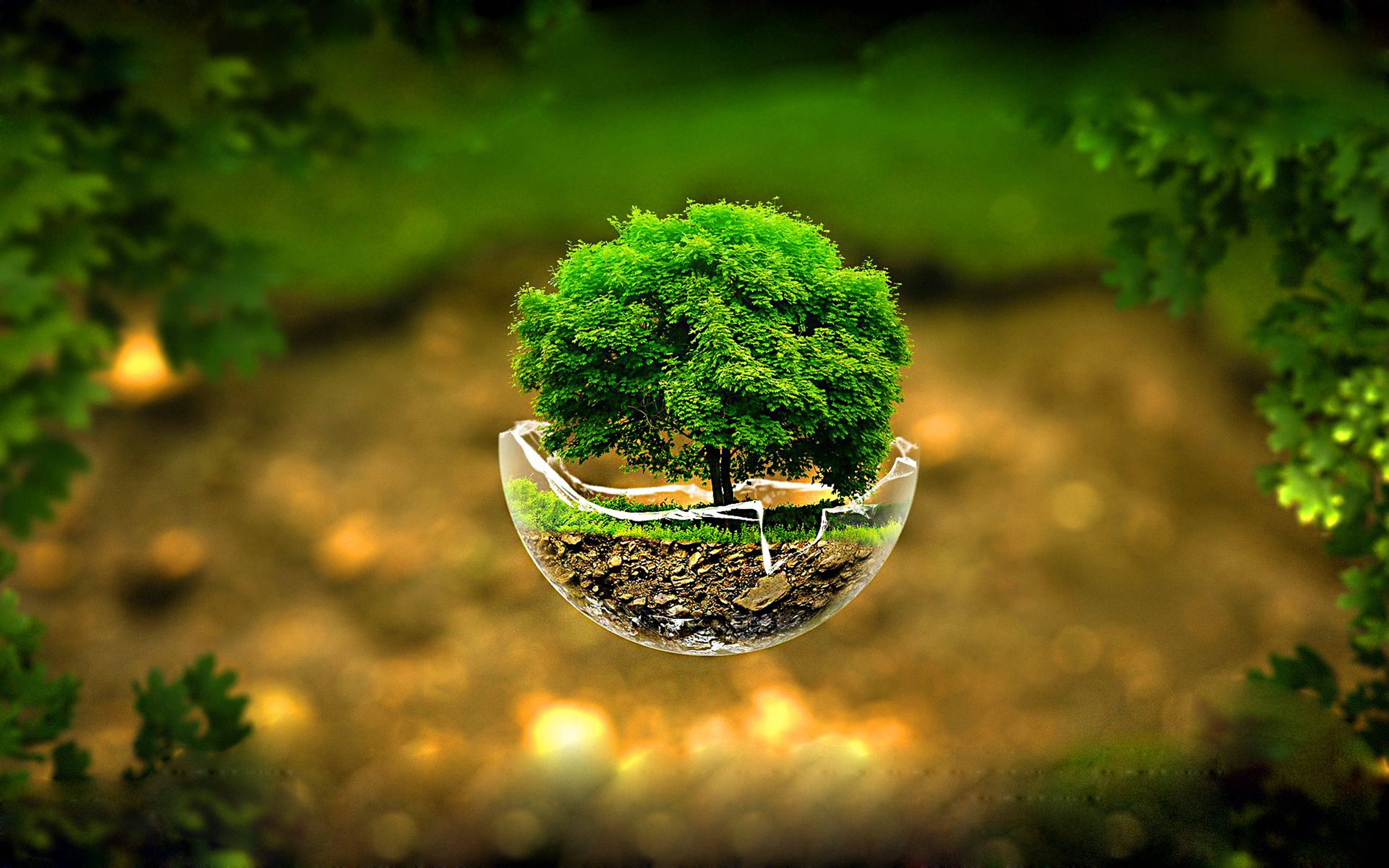3d hd, tree cup miniature, transparent bubble, 5K Desktop Wallpaper