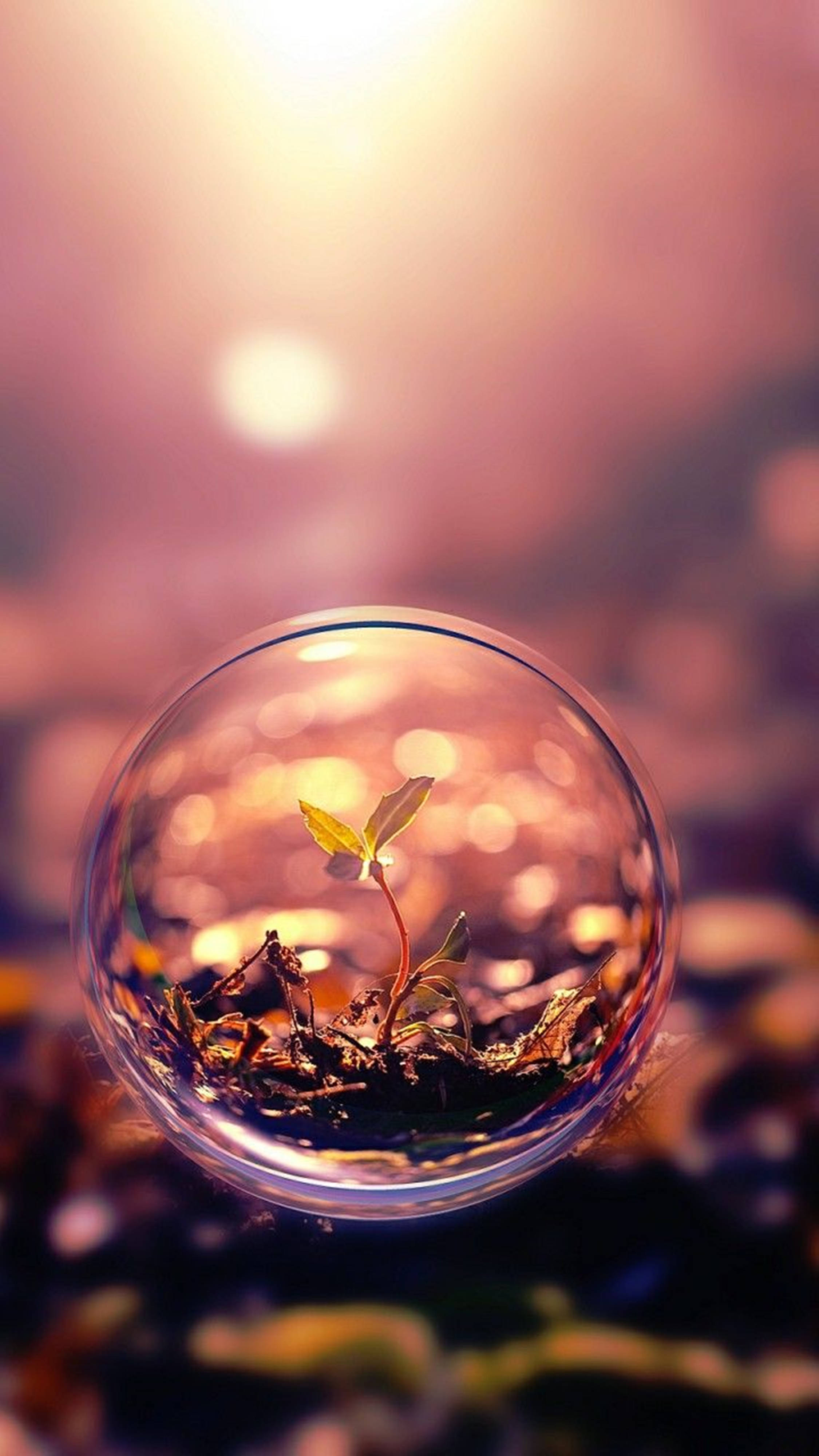 3d hd, green sprout, soil, 4K Phone Wallpaper