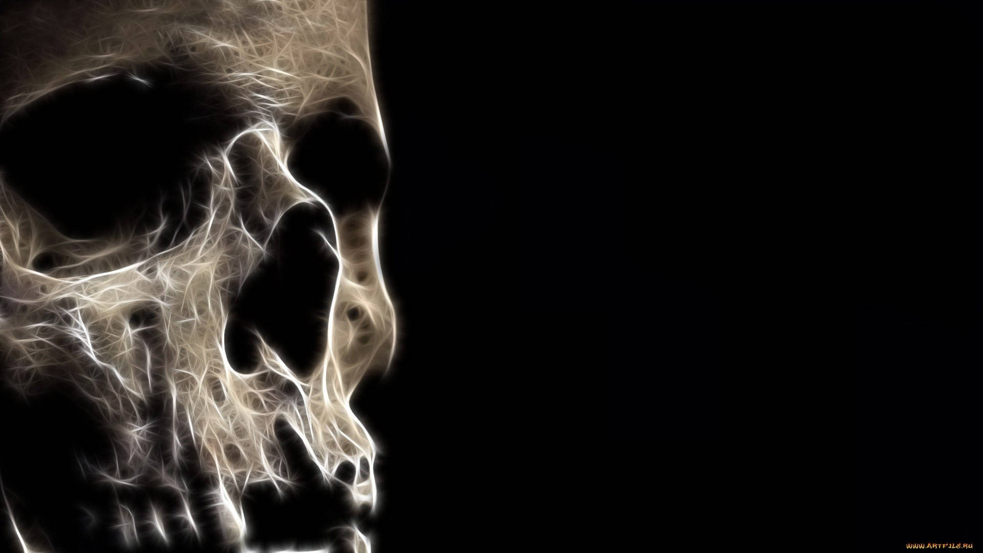 3d horror skull, glowing white, ethereal skull silhouette, Full HD Desktop Wallpaper