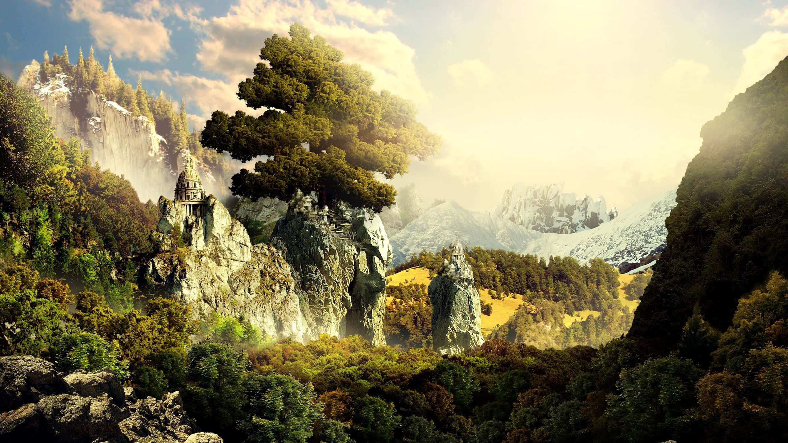 3d landscape, ancient tree, rocky outcrop, 2K Desktop Wallpaper