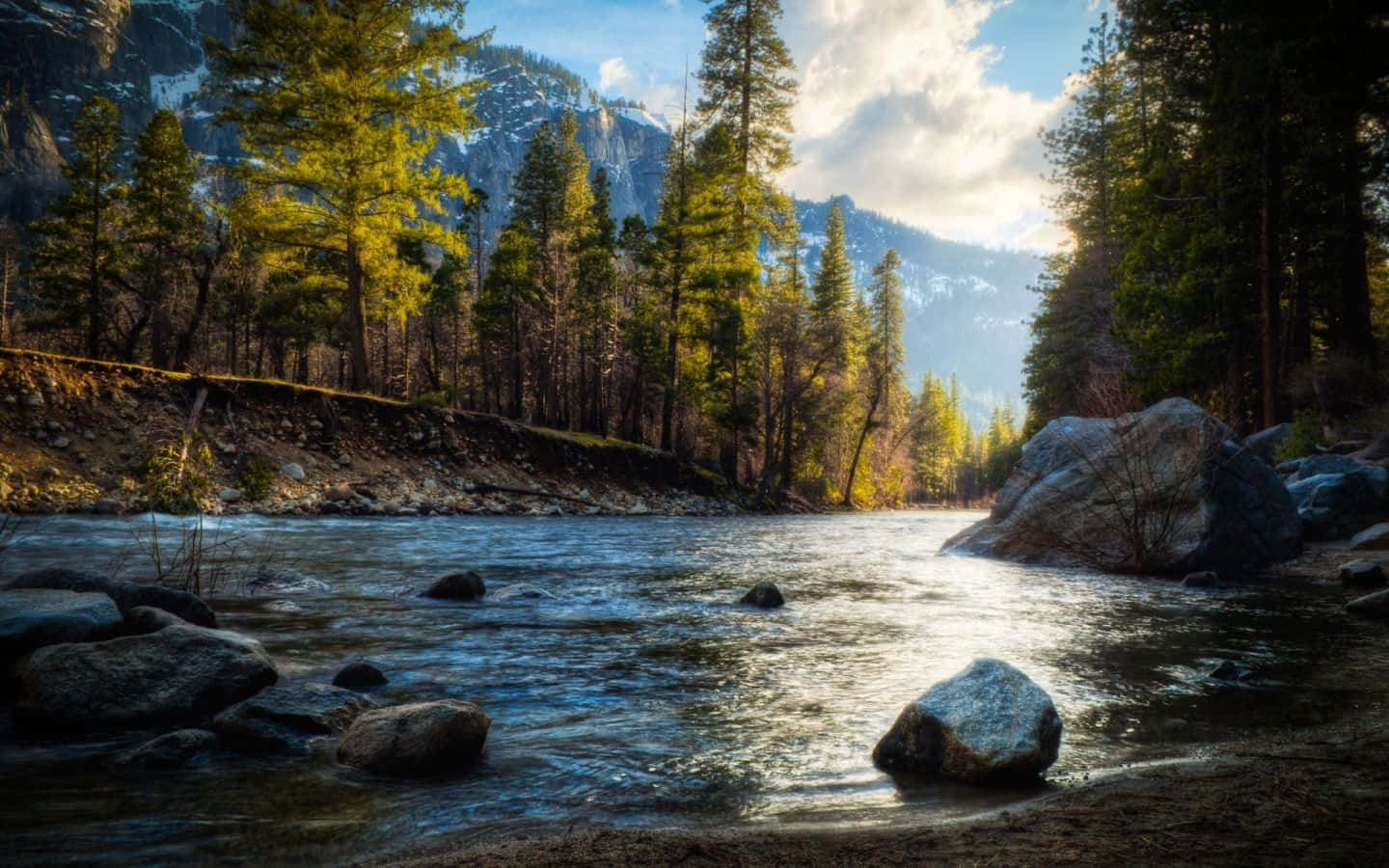 3d landscape, sunlight, tall pine trees, HD Desktop Wallpaper