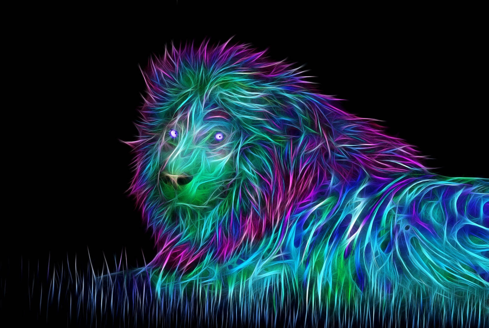 3D Neon Lion, neon-colored lion, glowing fur, HD Desktop Wallpaper