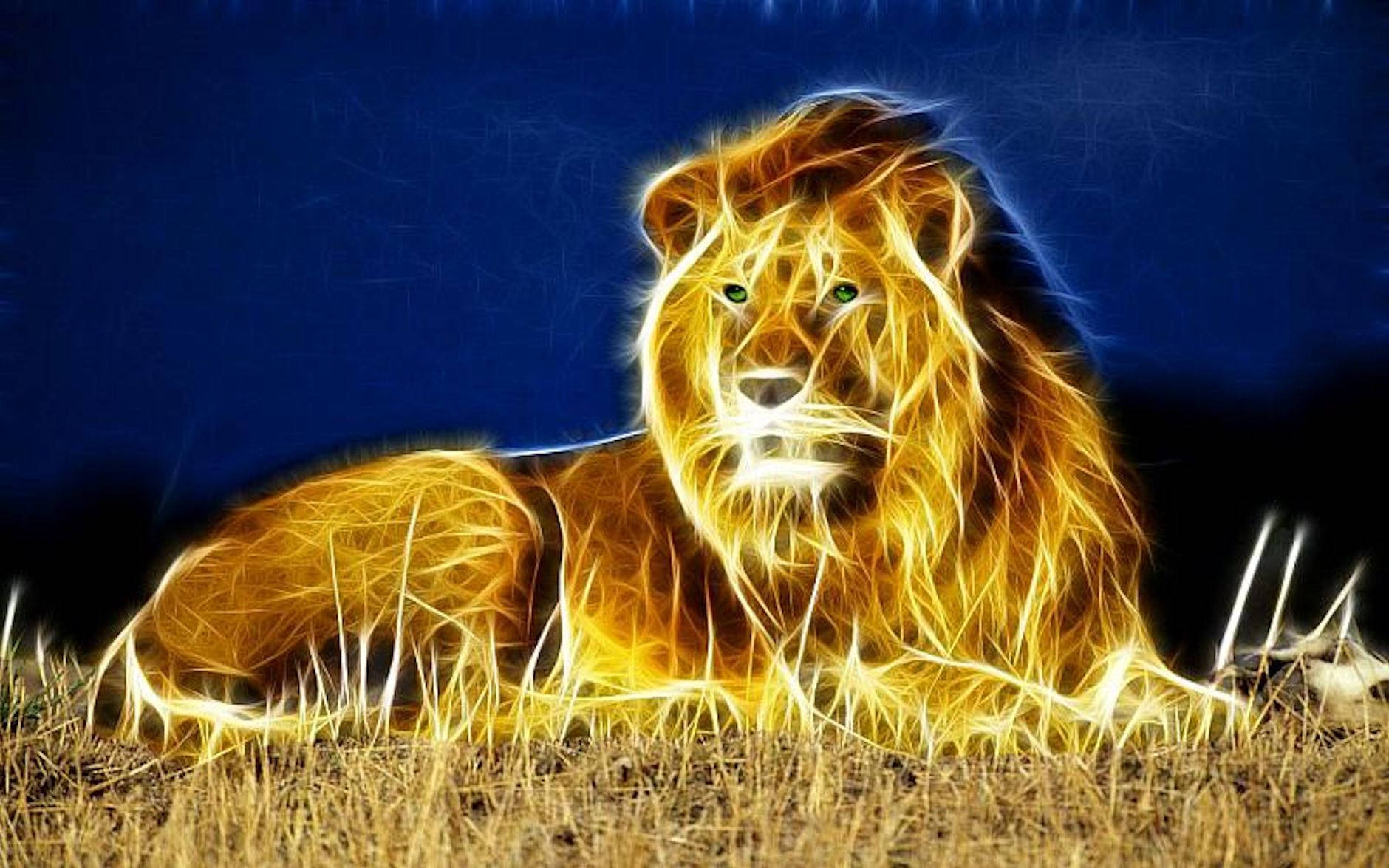 3d lion, fiery golden light, deep blue night sky, HD Desktop Wallpaper