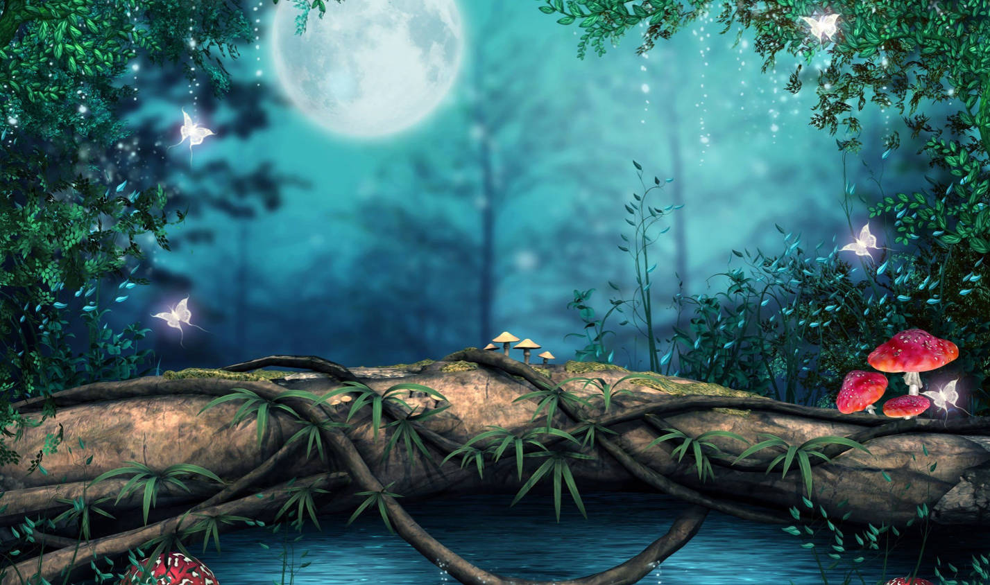 mushrooms, moonlit forest, glowing mushrooms, HD Desktop Wallpaper