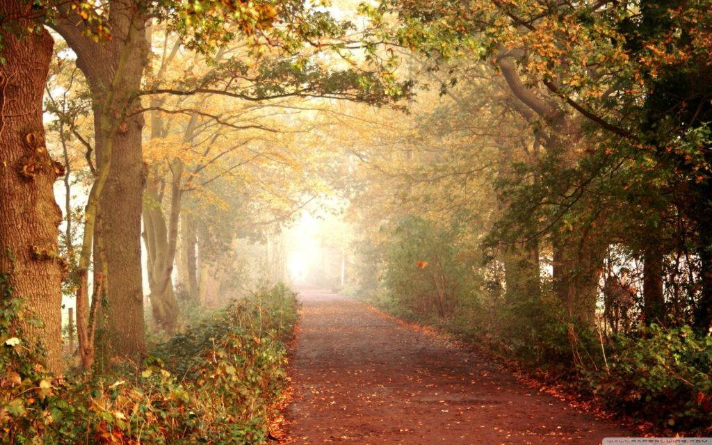 sidewalk, 3d Nature, misty autumn path, SD Desktop Wallpaper