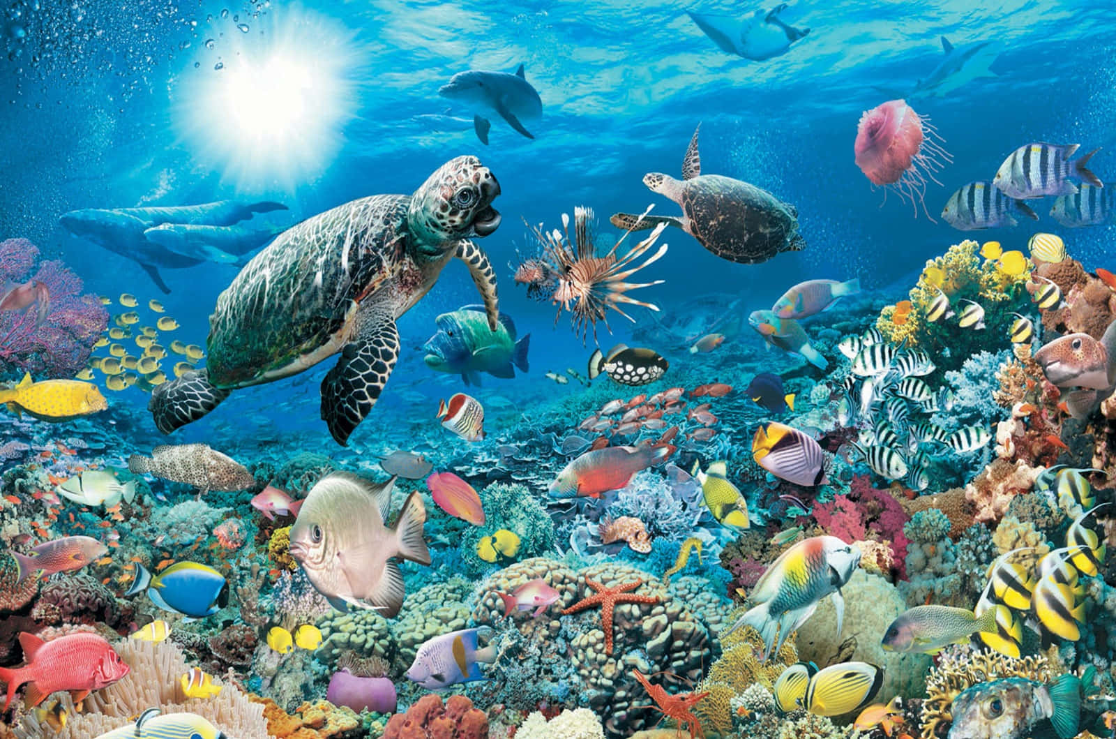 3d ocean, vibrant coral reef, colorful fish, HD Desktop Wallpaper