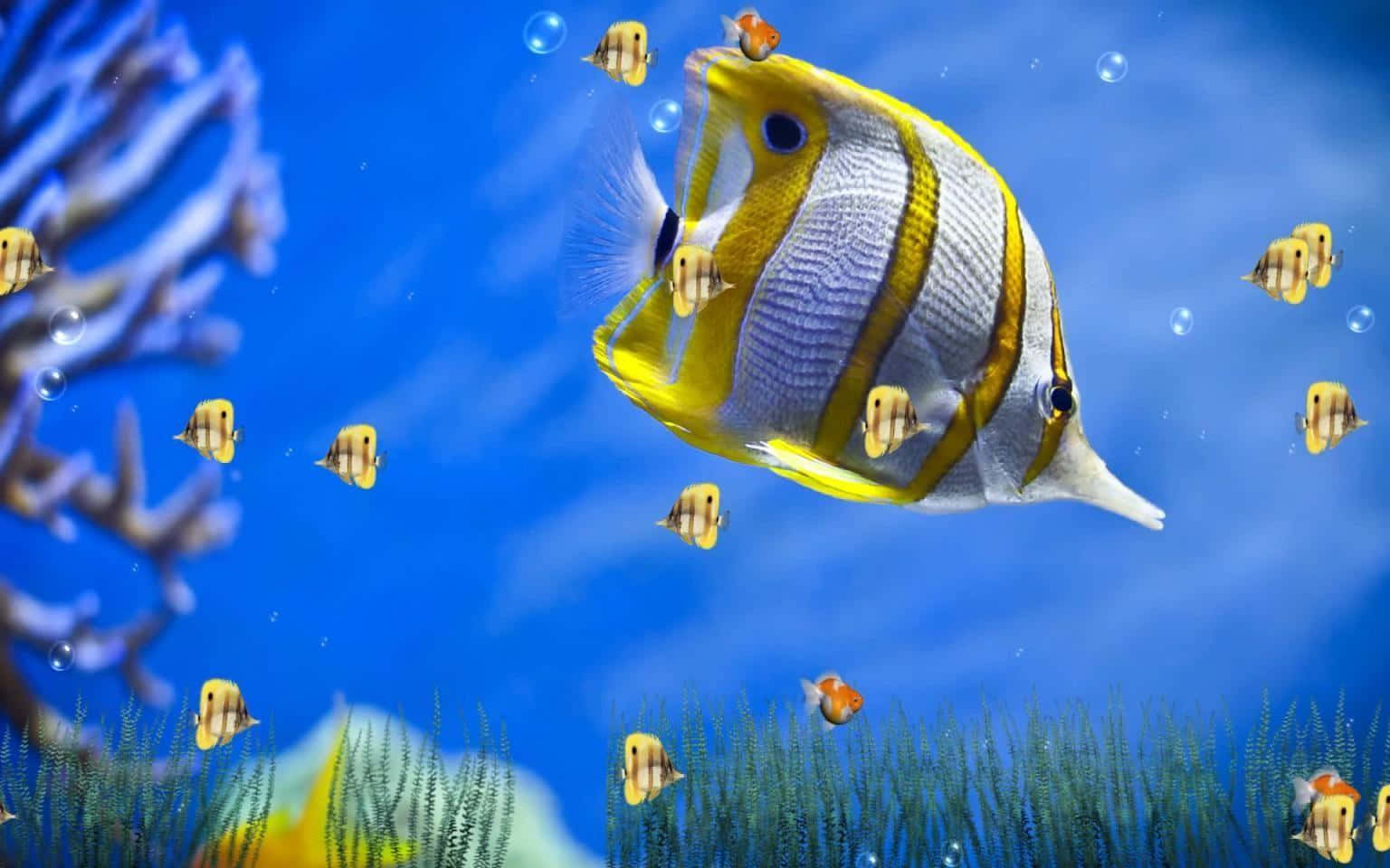 3d fish, butterflyfish, coral, HD Desktop Wallpaper