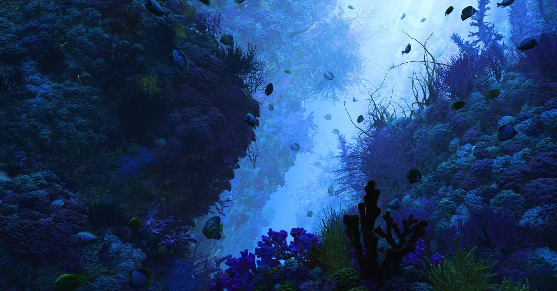 3d ocean, underwater coral canyon, blue light, Full HD Desktop Wallpaper