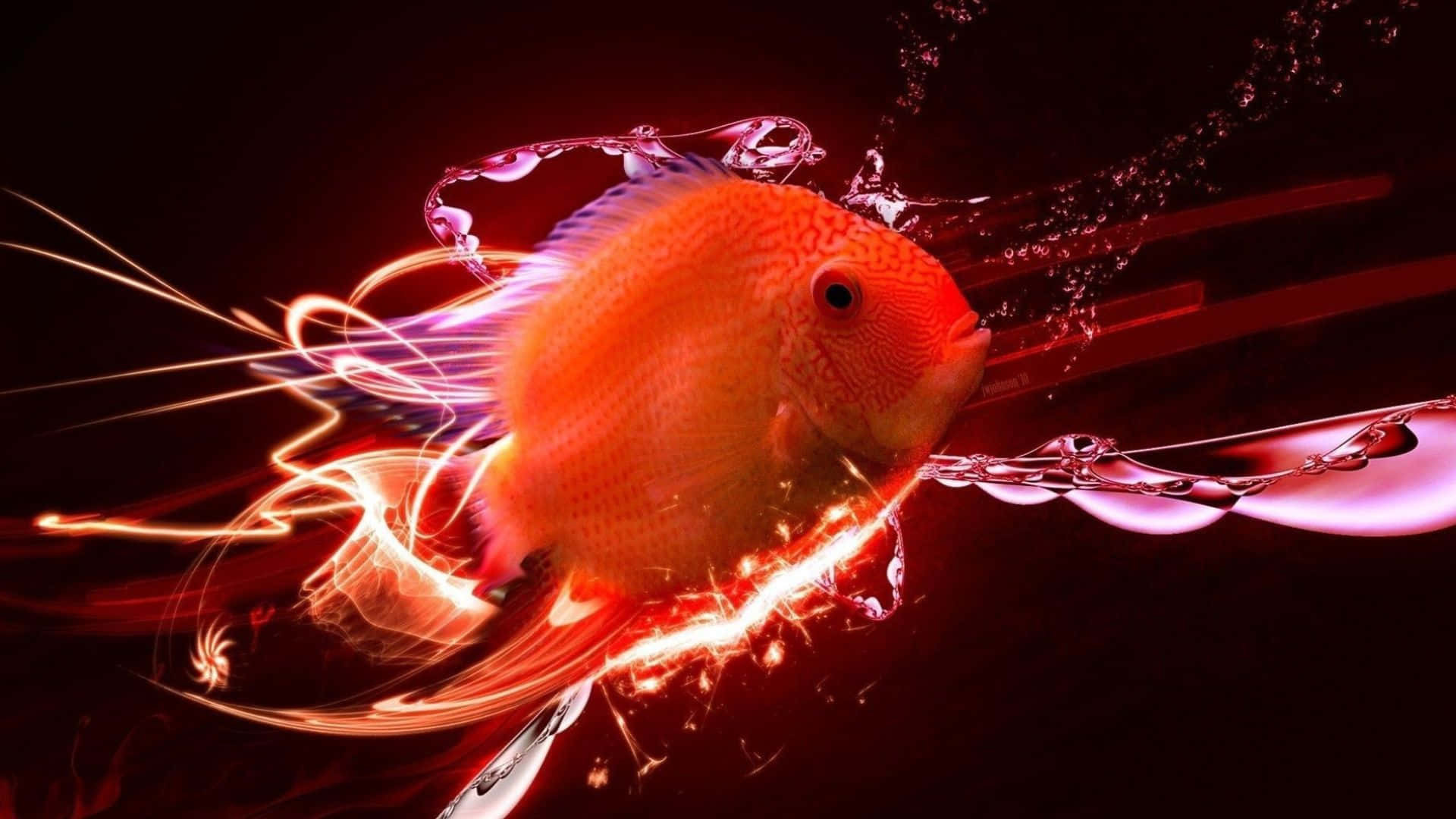 3d fish, vibrant orange fish, glowing trails, Full HD Desktop Wallpaper