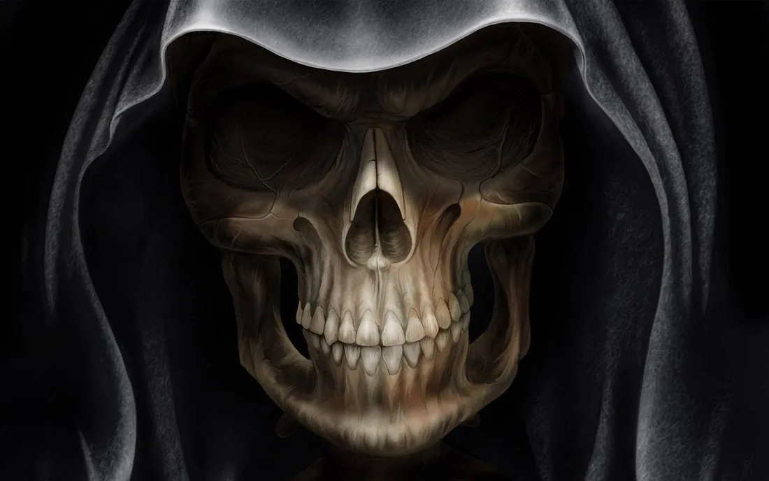 3D Skull