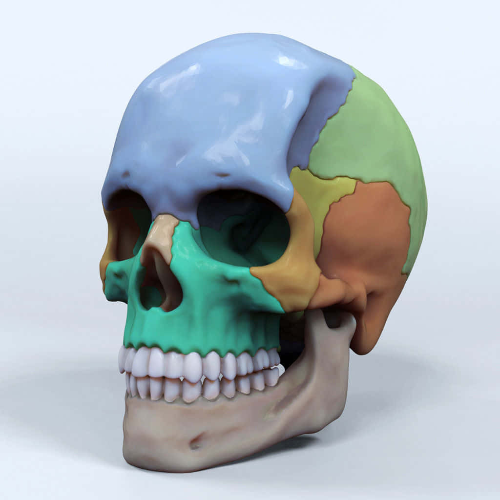 3d skull, blue, green, SD Desktop Wallpaper