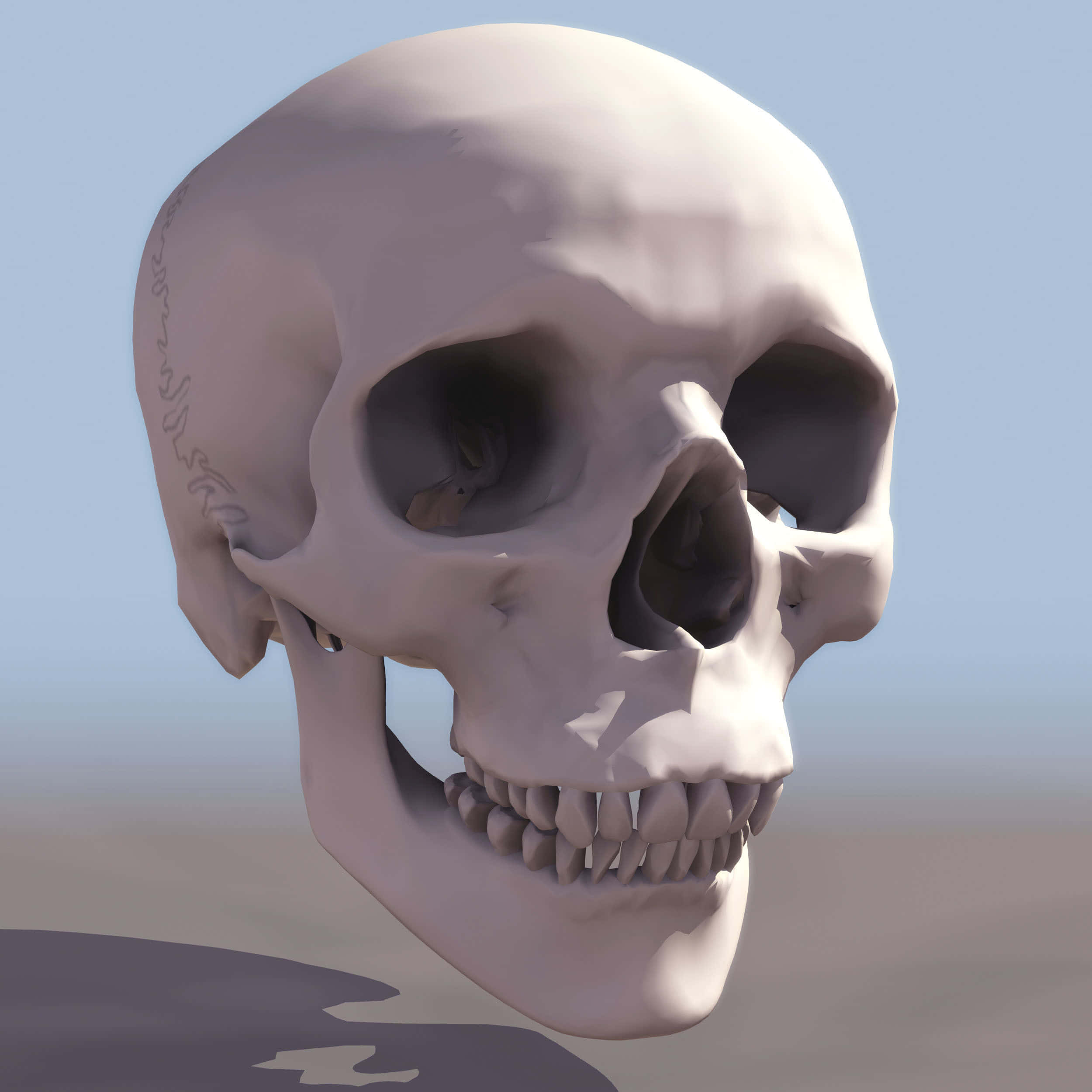 3d skull, 3d-rendered human skull, faint script, Full HD Desktop Wallpaper
